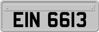 EIN6613
