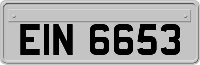EIN6653