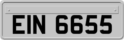 EIN6655