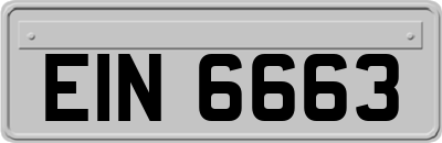 EIN6663