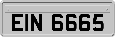 EIN6665