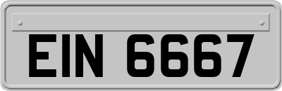 EIN6667
