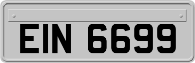 EIN6699