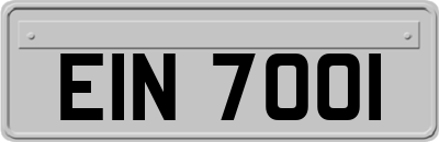 EIN7001