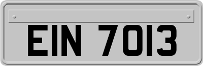 EIN7013