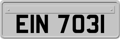 EIN7031