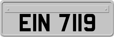 EIN7119