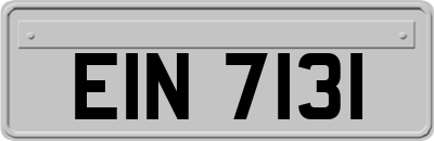 EIN7131