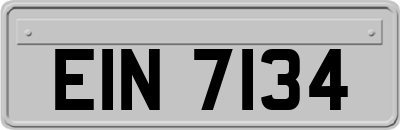 EIN7134