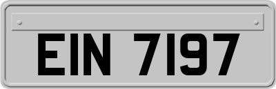 EIN7197