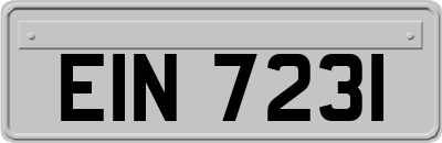 EIN7231