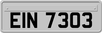 EIN7303