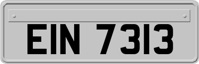 EIN7313