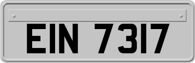 EIN7317