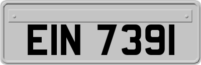 EIN7391