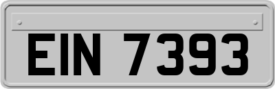 EIN7393