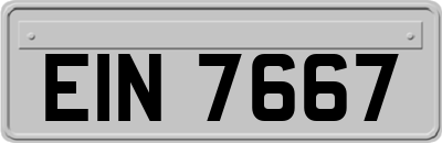 EIN7667