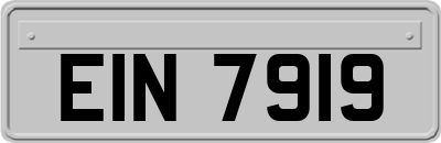 EIN7919