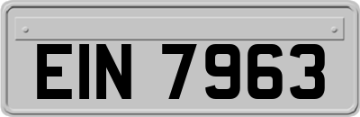 EIN7963