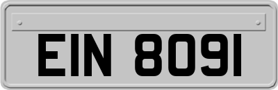 EIN8091