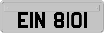 EIN8101
