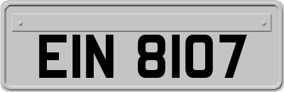 EIN8107