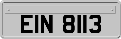 EIN8113