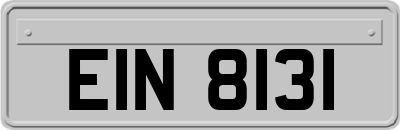 EIN8131