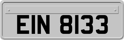 EIN8133
