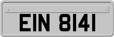 EIN8141