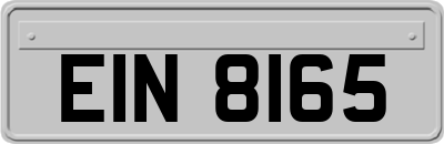 EIN8165