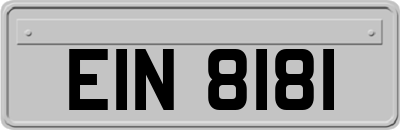 EIN8181