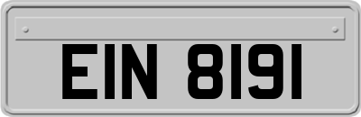 EIN8191