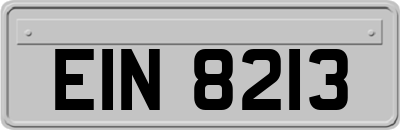 EIN8213