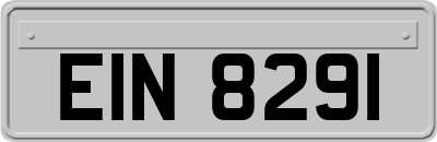 EIN8291