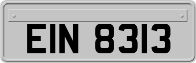 EIN8313