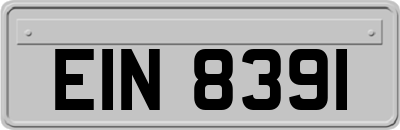 EIN8391