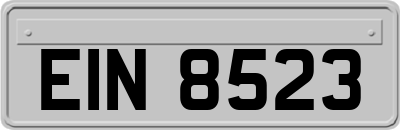 EIN8523
