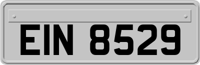 EIN8529