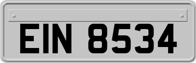 EIN8534