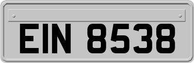 EIN8538