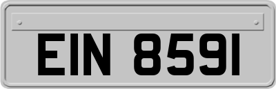 EIN8591