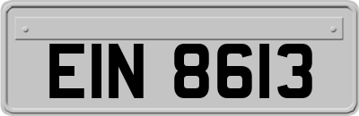 EIN8613