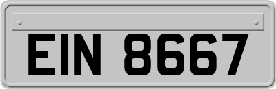 EIN8667