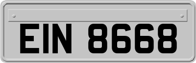 EIN8668