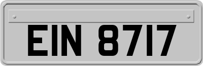 EIN8717