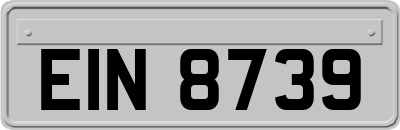 EIN8739