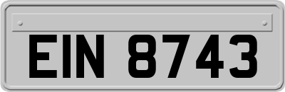 EIN8743
