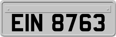 EIN8763