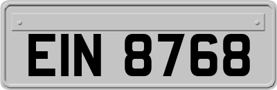 EIN8768